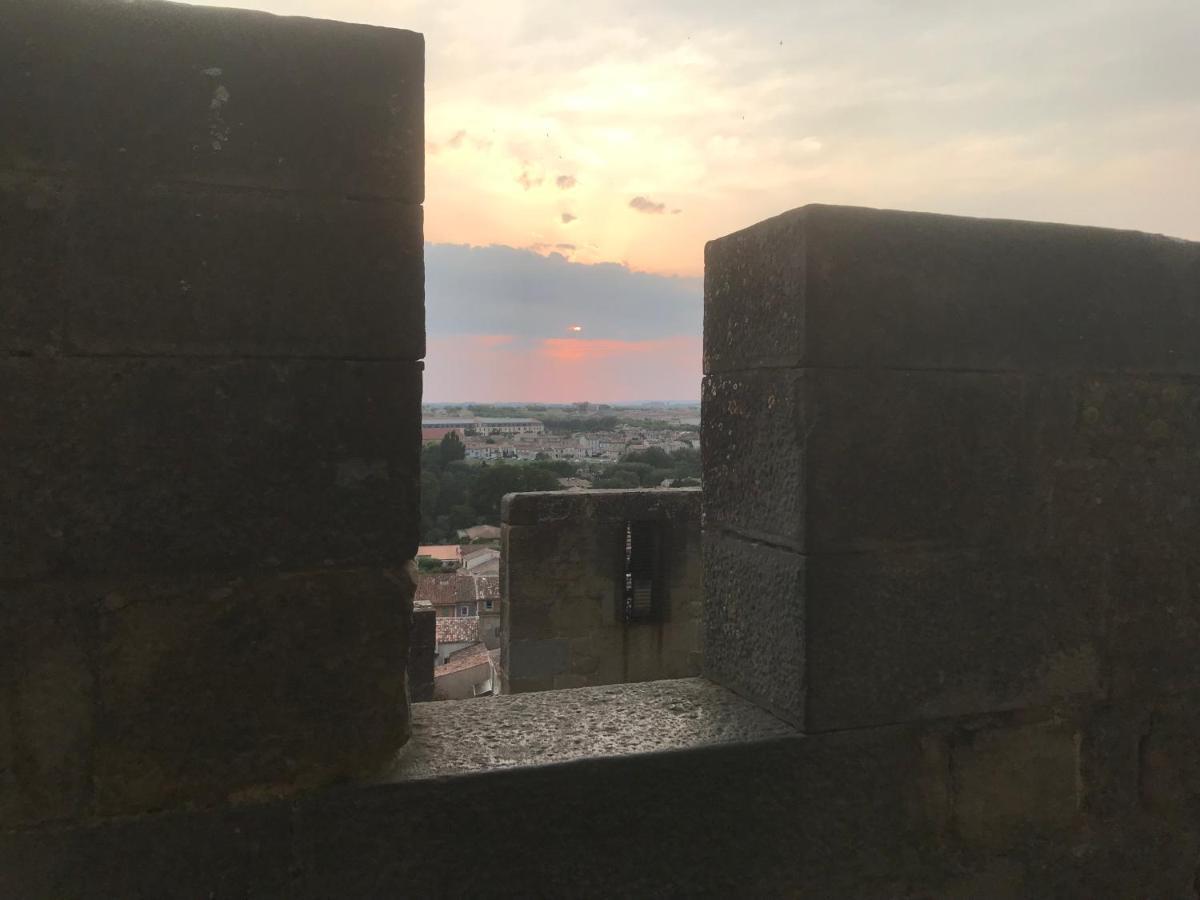 Le Clos Saint Michel Carcassonne Esterno foto