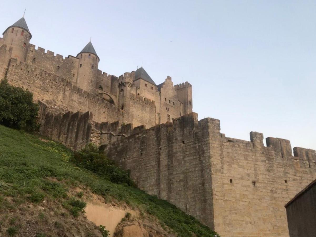 Le Clos Saint Michel Carcassonne Esterno foto